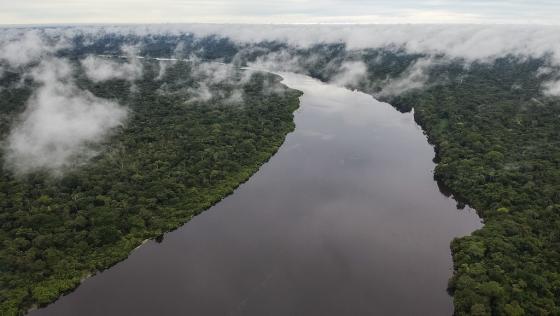 Biodiversidad en Colombia