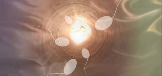 ¿Qué nos están diciendo nuestros espermatozoides? ¿Qué nos están diciendo nuestros espermatozoides?