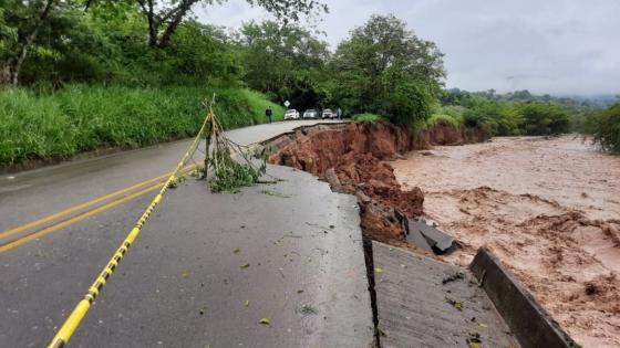 Huila Huila