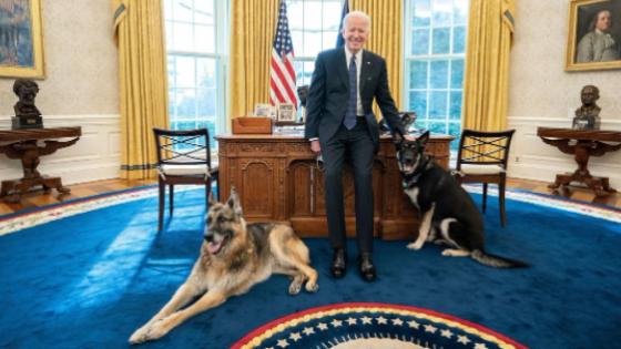 Joe Biden Joe Biden