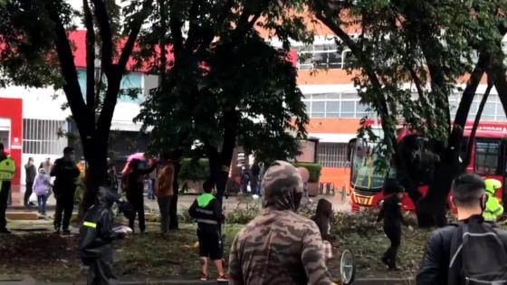 Protesta en Suba por tala de árboles