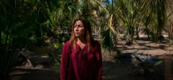 Partido de López Obrador, dividido por acusaciones de ataque sexual Partido de López Obrador, dividido por acusaciones de ataque sexual