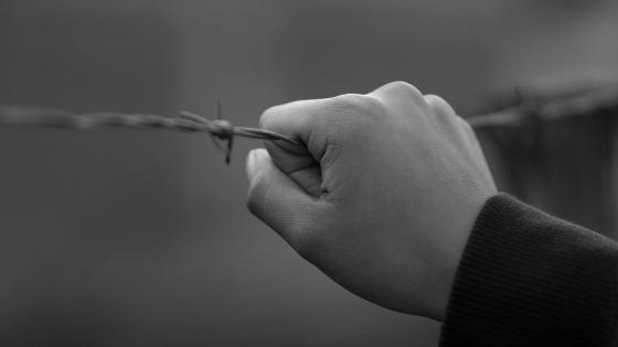 Mandos medios de las Farc revelaron tratos inhumanos en secuestros Mandos medios de las Farc revelaron tratos inhumanos en secuestros
