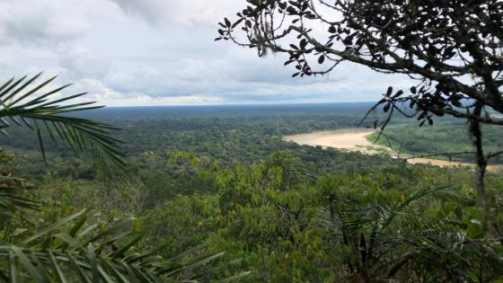 Increíbles pinturas rupestres ocultas en San José del Guaviare