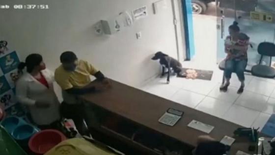 perro Perro