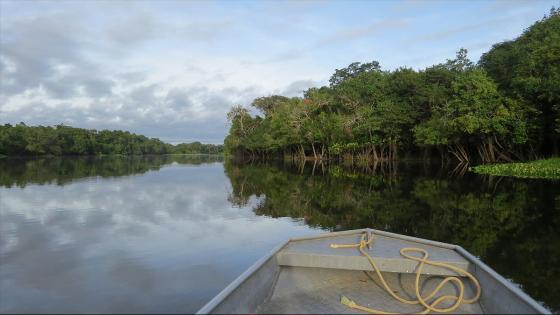 Selva Amazónica