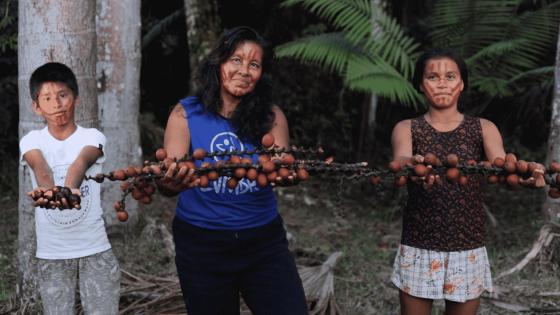 Los pueblos originarios de los shipibo-konibo y kukama kukamiria recolectan los frutos camu camu y aguaje en la Reserva Nacional del Pacaya Samiria en Perú como parte del movimiento Amarumayu que les permite generar ingresos al tiempo que cuidan los bosques de los taladores.