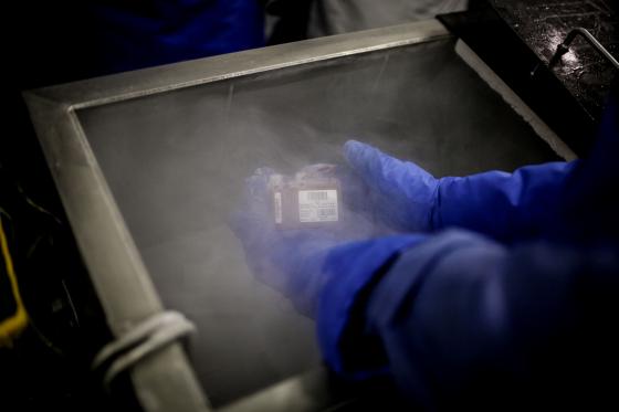 Un grupo de trabajadores de la salud trabajan en la preparación de la bolsa de sangre placentaria en el Banco Público de Sangre de Cordón Umbilical en Bogotá, Colombia, el 14 de abril de 2021. Este centro especializado es el cuarto en Latinoamérica en su tipo. Es una importante alternativa para pacientes con enfermedades graves de la sangre como leucemias, linfomas o aplasias.