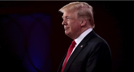 Trump se pasa la luz roja y casi atropella a la Dama de la Libertad Trump se pasa la luz roja y casi atropella a la Dama de la Libertad