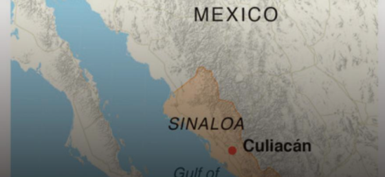 Más rutas marítimas, túneles y drones: los carteles mexicanos se adaptaron a la covid-19