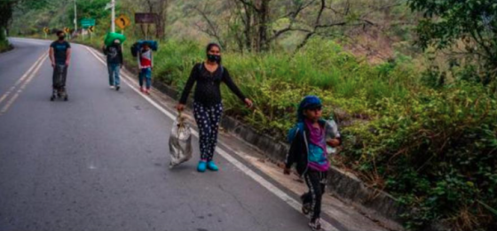 Así fue que acompañamos una caminata migratoria de 2400 kilómetros Así fue que acompañamos una caminata migratoria de 2400 kilómetros