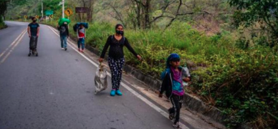 Así fue que acompañamos una caminata migratoria de 2400 kilómetros