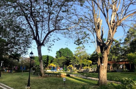 Detienen y sancionan a Mery Alfaro por no usar mascarilla en Parque Omar Detienen y sancionan a Mery Alfaro por no usar mascarilla en Parque Omar