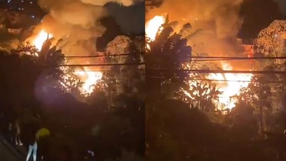 Incendio en Manizales dejó ocho perros muertos