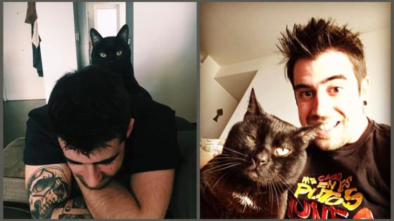 Luto en redes por la muerte de 'Don Gato', mascota de Auronplay Luto en redes por la muerte de 'Don Gato', mascota de Auronplay