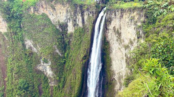 Joven murió tras caer por una cascada en Isnos, Huila Joven murió tras caer por una cascada en Isnos, Huila