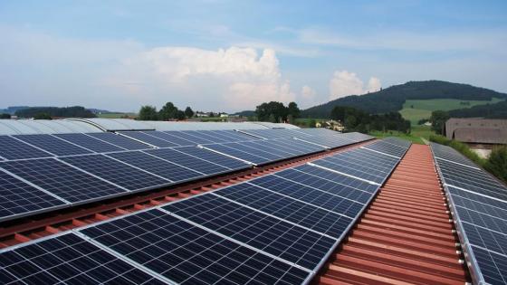 Paneles solares Paneles solares