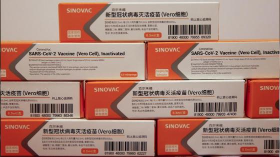 Lote de vacunas contra Covid-19 de Sinovac llegó a Colombia