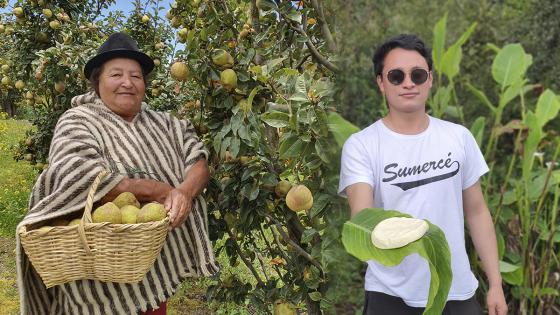 Andrés Guerrero, el joven boyacense detrás de 'Soy campesino' Andrés Guerrero, el joven boyacense detrás de 'Soy campesino'
