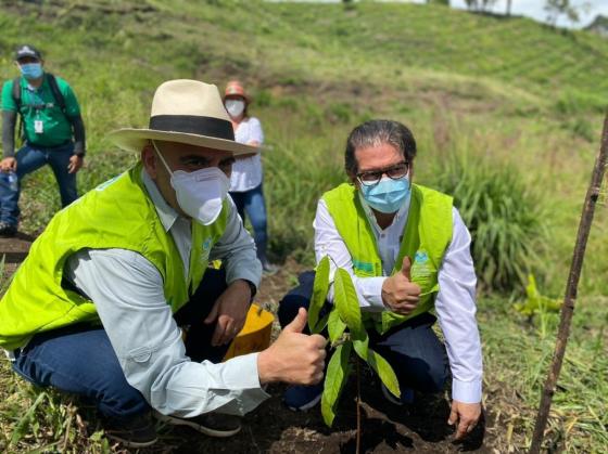 Banco Agrario lidera sembratón de árboles nativos