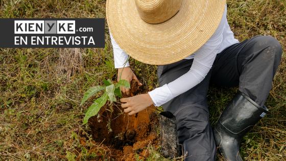 Conservación y restauración ambiental