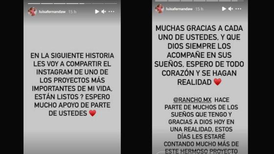 Contenido Luisa W Contenido Luisa W