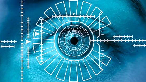 Evite fraudes en línea o las suplantaciones de identidad con Biometría Evite fraudes en línea o las suplantaciones de identidad con Biometría