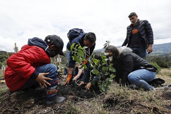 EFE/ Mauricio Dueñas Castañeda
