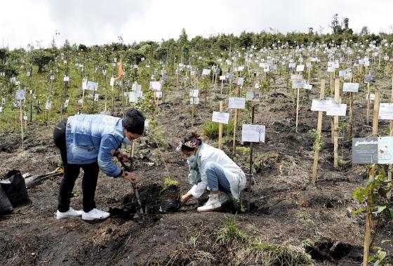 EFE/ Mauricio Dueñas Castañeda