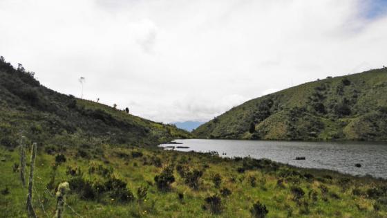 Día Mundial del Medio Ambiente Día Mundial del Medio Ambiente