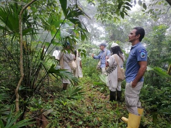 Parque Tayrona Especies