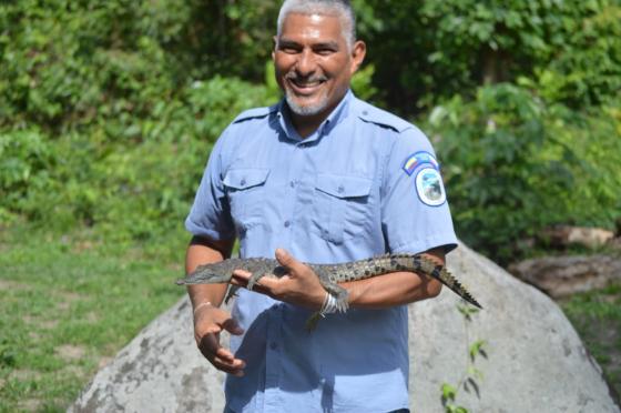 Parque Tayrona Especies