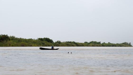 Río Vichada Río Vichada