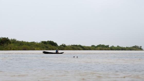 Río Vichada