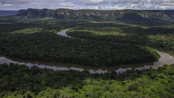 El Parque Nacional Serranía de Chiribiquete perdió más de mil hectáreas por deforestación entre octubre de 2020 y febrero de 2021. Serranía de Chiribiquete