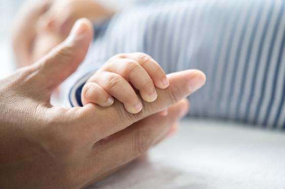 Con modificaciones, avanza proyecto de licencia parental compartida Con modificaciones, avanza proyecto de licencia parental compartida