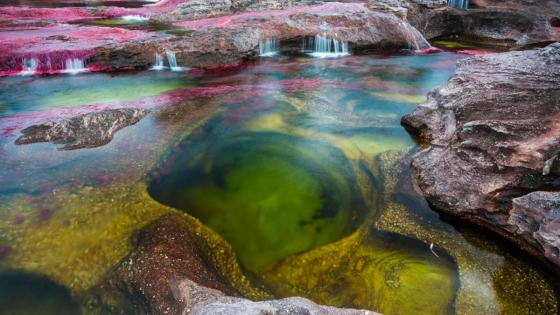 Caño Cristales Caño Cristales