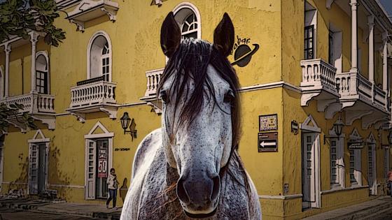 Maltrato caballos de Cartagena