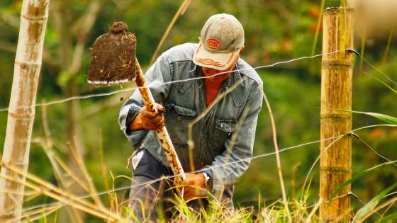 Escrituración de tierras a campesinos Escrituración de tierras a campesinos