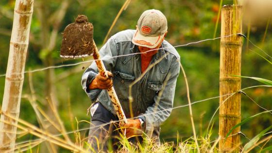 Escrituración de tierras a campesinos