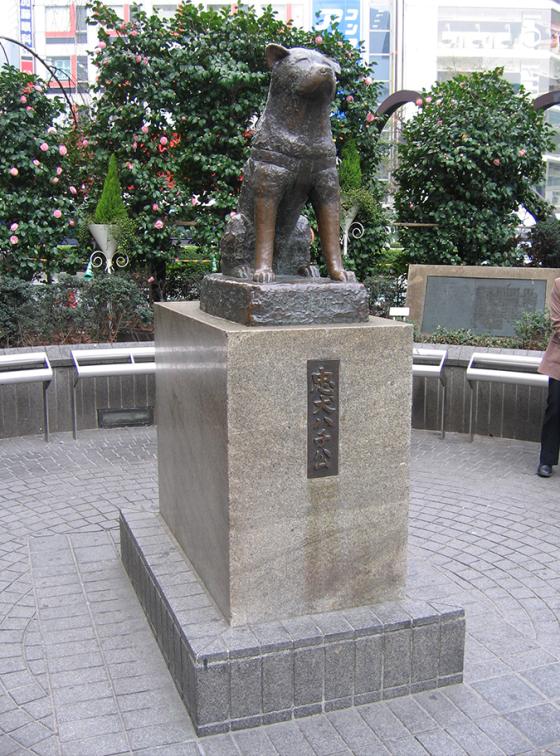 Hachiko Hachiko