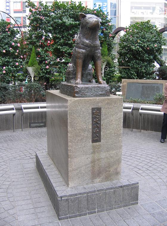 Hachiko