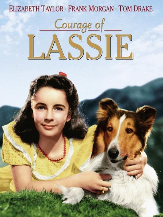 Lassie Lassie