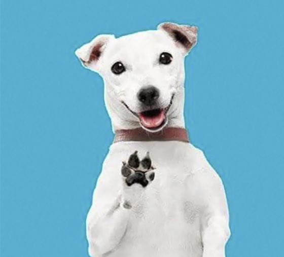Perro Telmex Perro Telmex