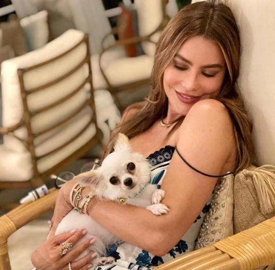 IG @sofiavergara IG @sofiavergara