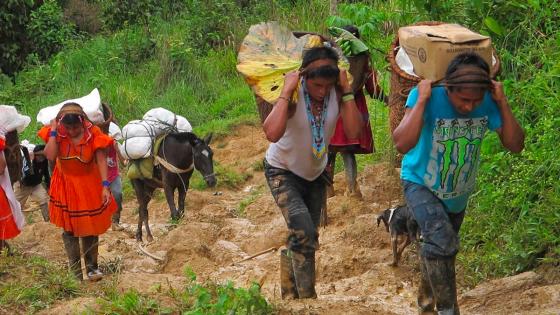 Buenos Aires, Cauca, desplazamiento forzado