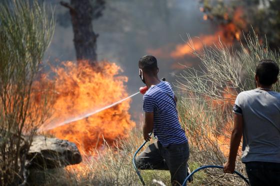 Incendios forestales en Turquía 