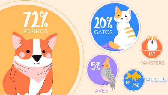 Infografía mascotas colombia Inforgrafía