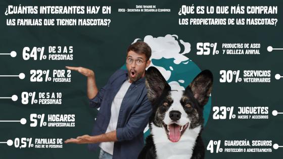 Productos mascotas Totto