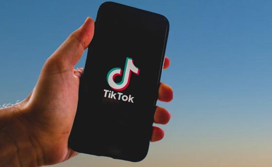 alt tiktok alt tiktok